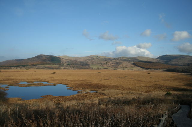 c0103090_20415342.jpg