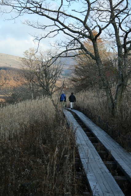 c0103090_20422334.jpg