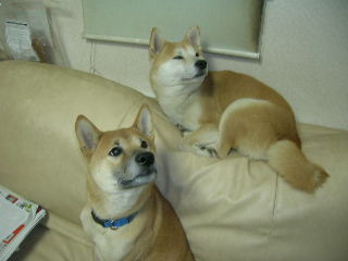 c0123890_20515032.jpg