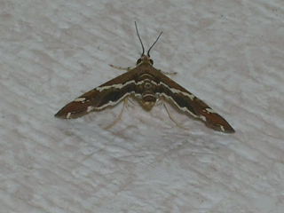 c0123890_20531656.jpg