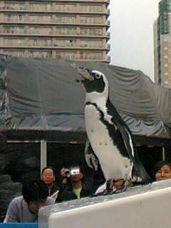 a0088095_8213419.jpg