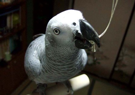 c0118496_2101390.jpg