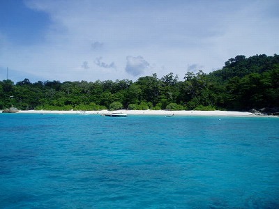 d0098397_198286.jpg