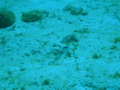 d0098397_1985850.jpg