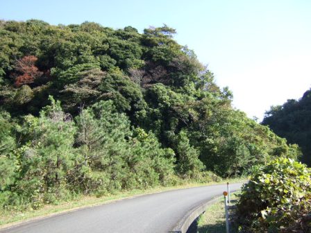 b0087400_22514848.jpg