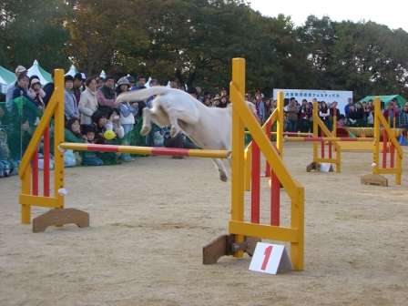 d0091700_15204082.jpg