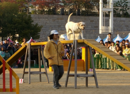 d0091700_15212011.jpg