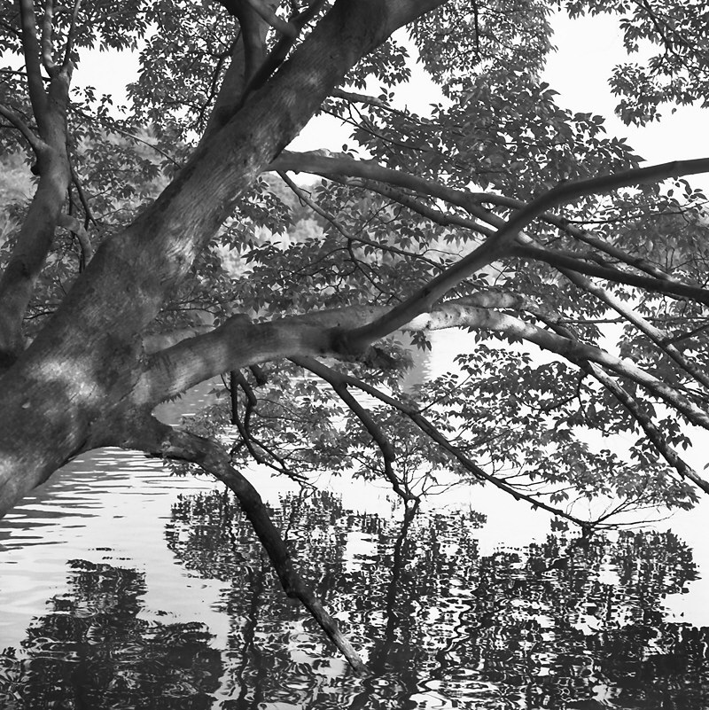 f0109201_16131454.jpg