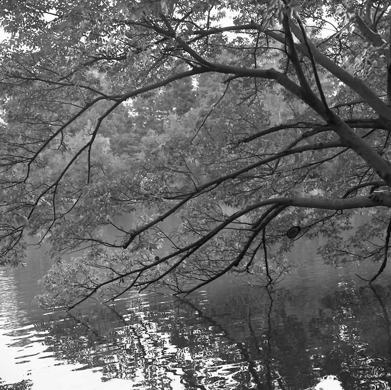 f0109201_16132720.jpg