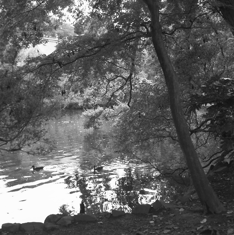 f0109201_1674598.jpg