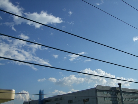 d0079302_1559915.jpg