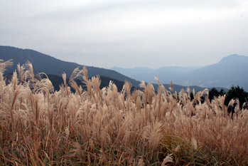 c0011009_1475831.jpg