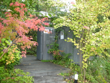 c0145209_1050146.jpg