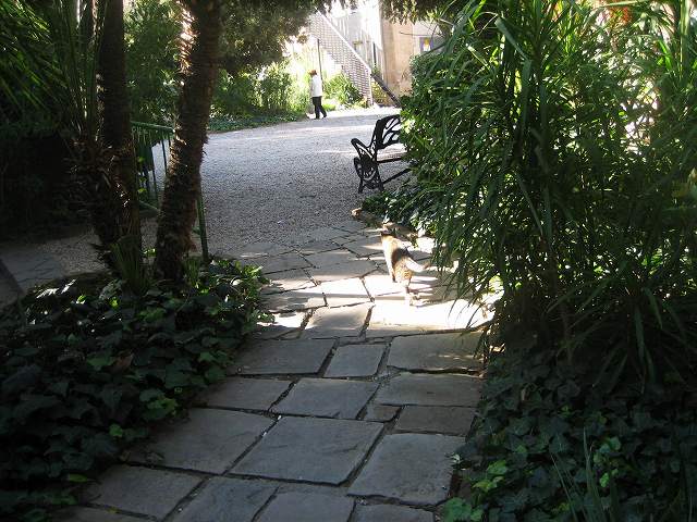 b0064411_283999.jpg