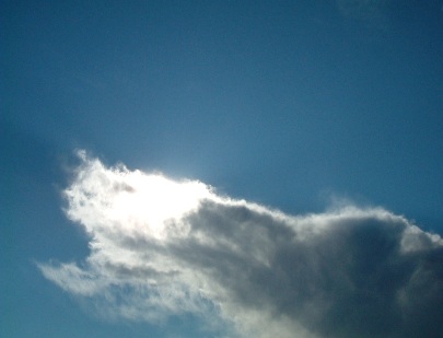 f0068511_1552914.jpg