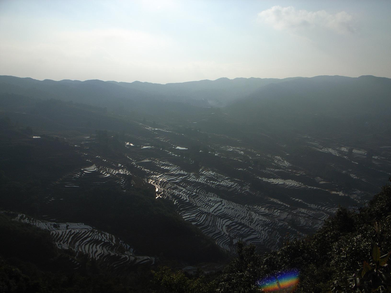 f0116817_20511659.jpg