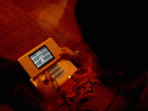 b0026822_11404792.gif
