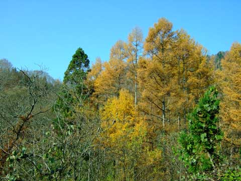 f0147025_14472190.jpg