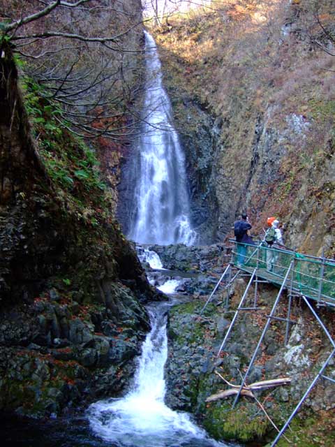 f0147025_14541446.jpg