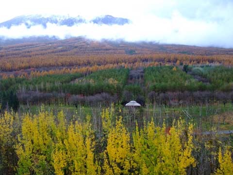 f0147025_1512462.jpg