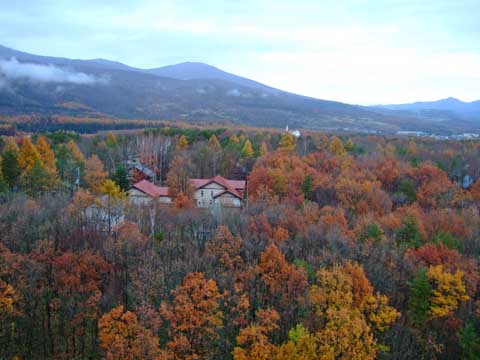 f0147025_15125262.jpg
