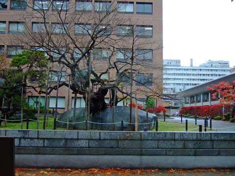 f0147025_15134223.jpg