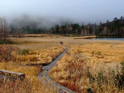 f0147025_1565839.jpg