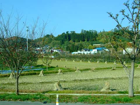 f0147025_16125456.jpg