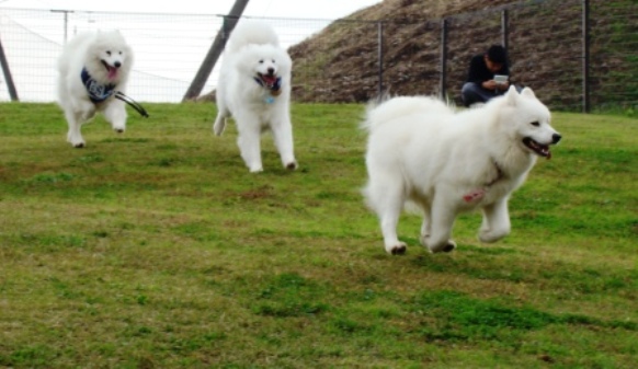 e0024126_20113954.jpg