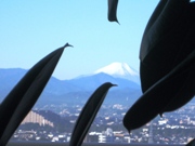 c0141431_223715.jpg