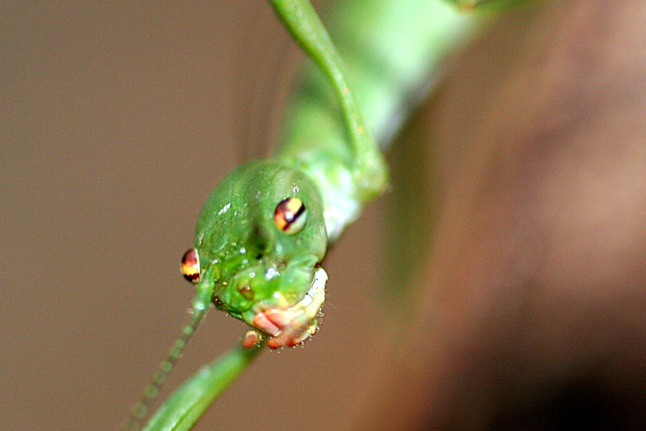 d0012134_23363212.jpg