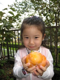 c0136640_1315237.jpg