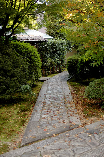 d0008146_11502477.jpg