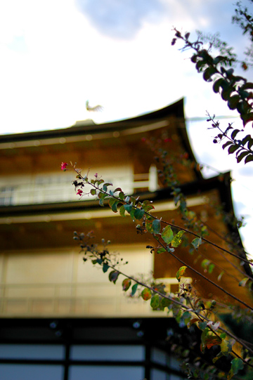 d0008146_1214736.jpg