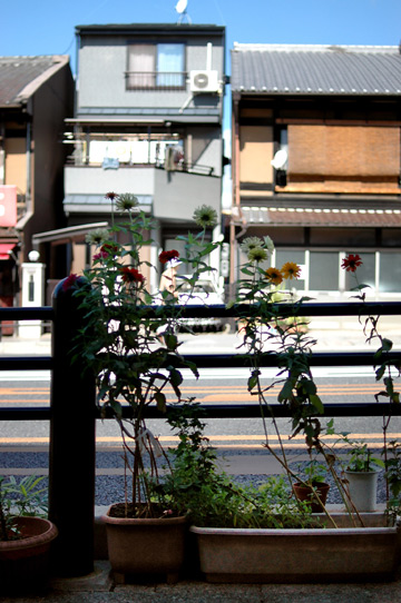 d0008146_731231.jpg
