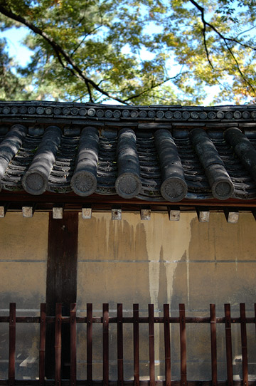 d0008146_7382344.jpg
