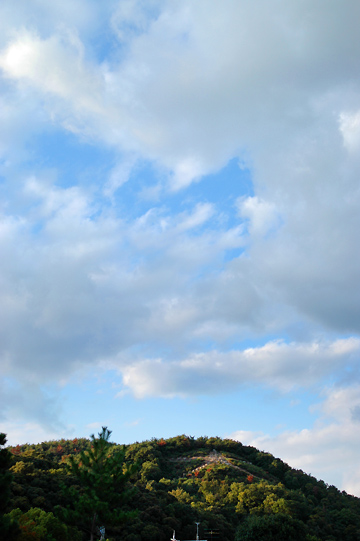 d0008146_85212100.jpg