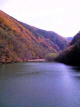 f0046449_2113226.jpg
