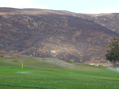 f0062649_10112811.jpg