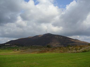 f0062649_1024158.jpg