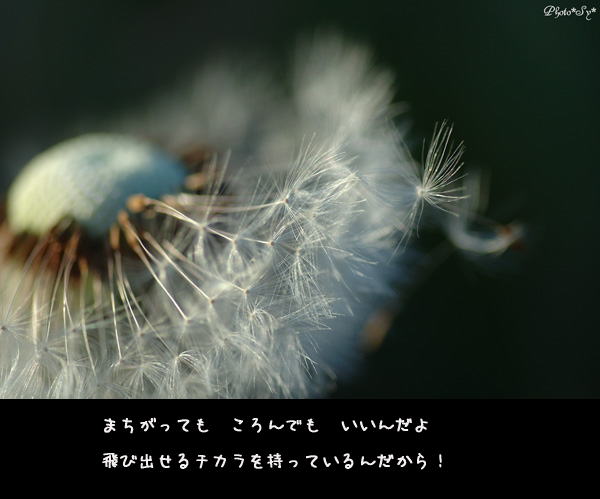 c0144353_11591215.jpg