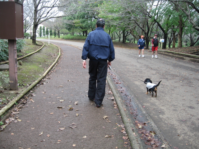 a0101958_10594579.jpg