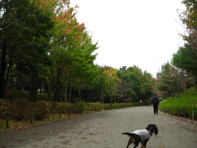 a0101958_11231586.jpg