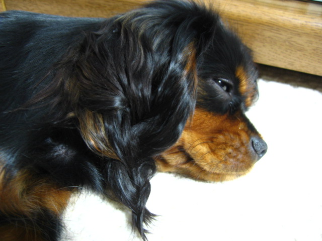 a0101958_11421761.jpg