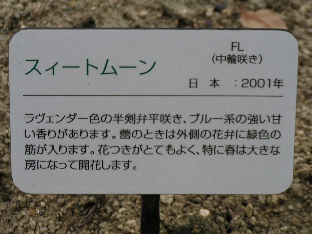 f0074659_22571856.jpg