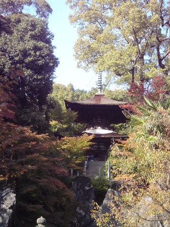 c0123668_10551371.jpg