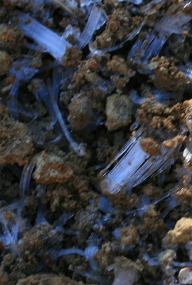 d0102968_841239.jpg
