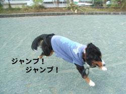 e0124868_1241297.jpg