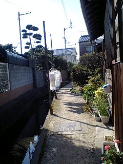 f0050468_14525047.jpg