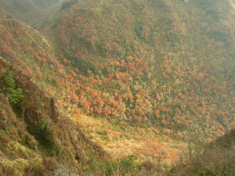 c0042869_2043348.jpg